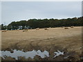 Farmland near Fiskaidly