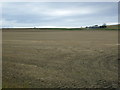 Farmland near Todhills