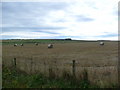 Farmland near Strathord