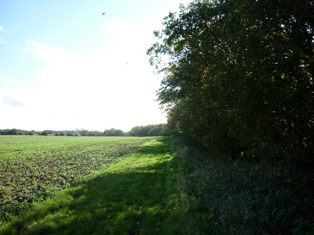 Weatherhill Plantation towards Goxhill
