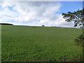 Farmland near Corskie Bridge