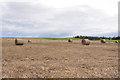 Fields near Boath House