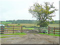 Field entrance by Brinkmarsh Lane Farm