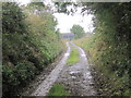 NZ0768 : Byway to Harlow Hill by Les Hull