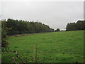 Security Fence around Albermarle Barracks