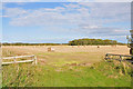 Farmland near Waterton