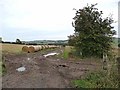 NU0104 : Straw bales near Silverside by Oliver Dixon