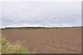 Farmland near Alves