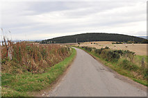 NH6853 : Minor road near Avoch by Steven Brown