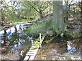 A bridge across  the moat