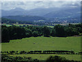 Penrhynside Mountain  - the view south