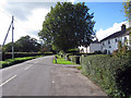 Houses on Whitewood Lane