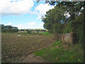 Fields off Gibbs Brook Lane