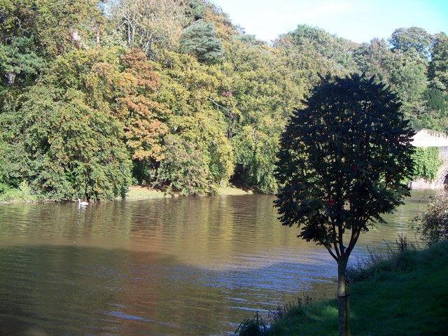 The Coquet at Warkworth in Autumn clothes