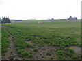 Farmland near Burnside