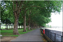 TQ2575 : Thames Path in Wandsworth Park by N Chadwick