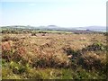 Rhos Botwnnog bog