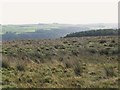 Moorland north of Parkhead Wood