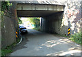 2010 : Railway bridge south of Witham Friary