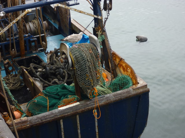 Coastal East Lothian : No Fish Today at Victoria Harbour, Dunbar