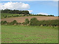 Farmland southeast of Frankham