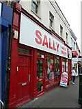 SZ0991 : Sally in Old Christchurch Road by Basher Eyre