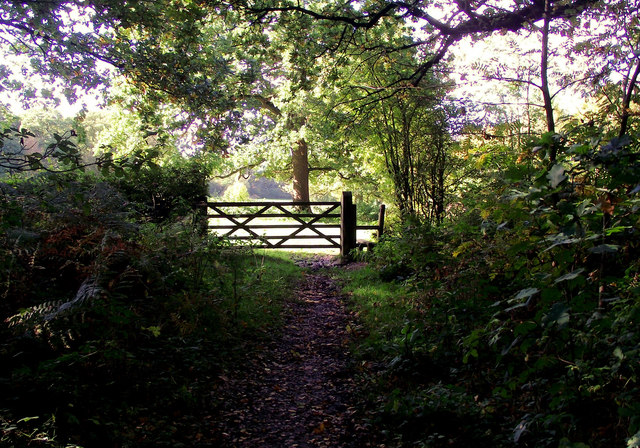 Top entrance to the pasture