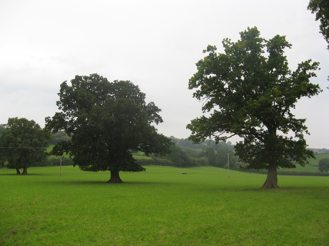 Organic Pasture Land with Two Trees at Lag Farm