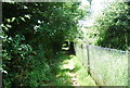 Footpath  north of How Green Lane