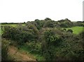 North Cornwall Railway trackbed on the curve