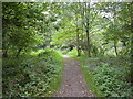 Willsbridge, footpath