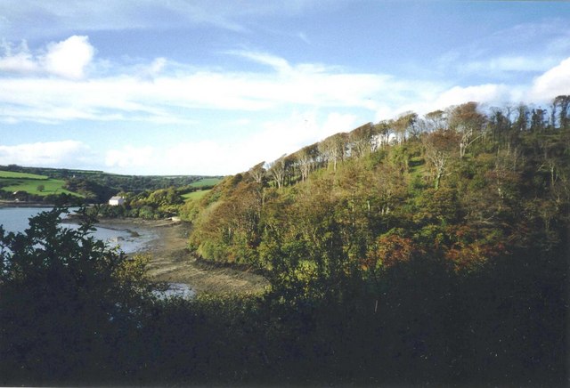 Banks of Porthcuel River and Porth Creek