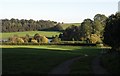 Countryside by Bath wood