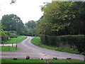 Country lane near Hartfield