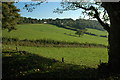 Western slopes of Cwmcarvan Hill