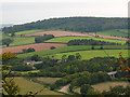 Beare viewed from Killerton