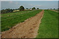 Gallops near Kingcoed