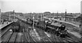 Express from North Wales entering Crewe