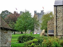 NY8362 : Langley Castle by Oliver Dixon