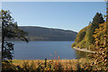 Lake Vyrnwy from Old Village car park