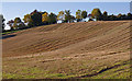 Stubble Field, Brookfield