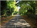 Kissing Tree Way, Alveston