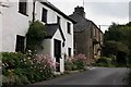 Devon Cottages