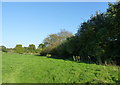 Footpath alongside the Severn at Eye Farm