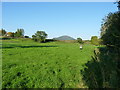 Severnside footpath and The Wrekin