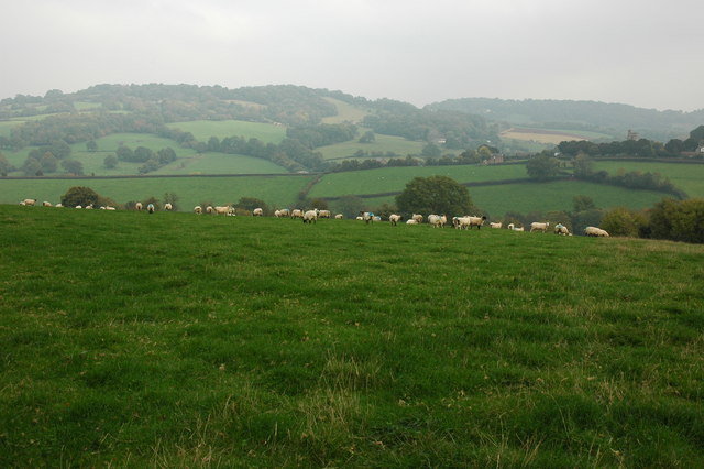 Farmland at Cwmcarvan