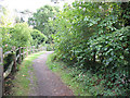 Footpath to Hurst Green station