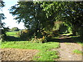 Byway and bridleway junction near Upper Park Gate Farm