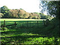 Footpath to Collards Lane