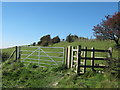 TR2038 : Saxon Shore Way and North Downs Way Kissing Gate on the Folkestone Downs by David Anstiss